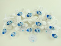 /album/miniature-pesciolino-azzurro-su-sacchetto-portaconfetti-floreale-in-cotone-bianco/dscn4113-2-jpg/